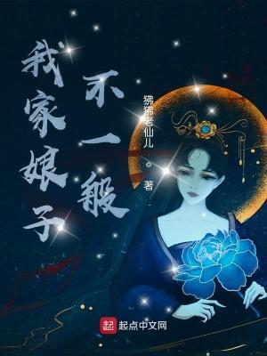 我家娘子不一般第二部