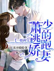 一胎两宝萧少的落跑新娘