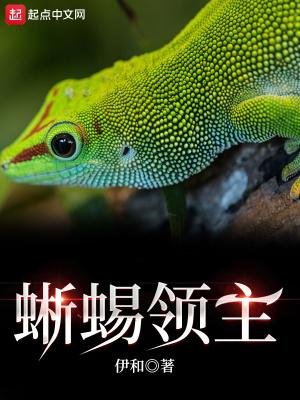 蜥蜴人传奇领主六个