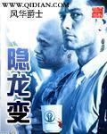 隐龙变 风华爵士