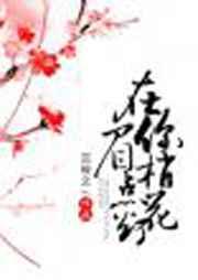 在你眉梢点花灯txt