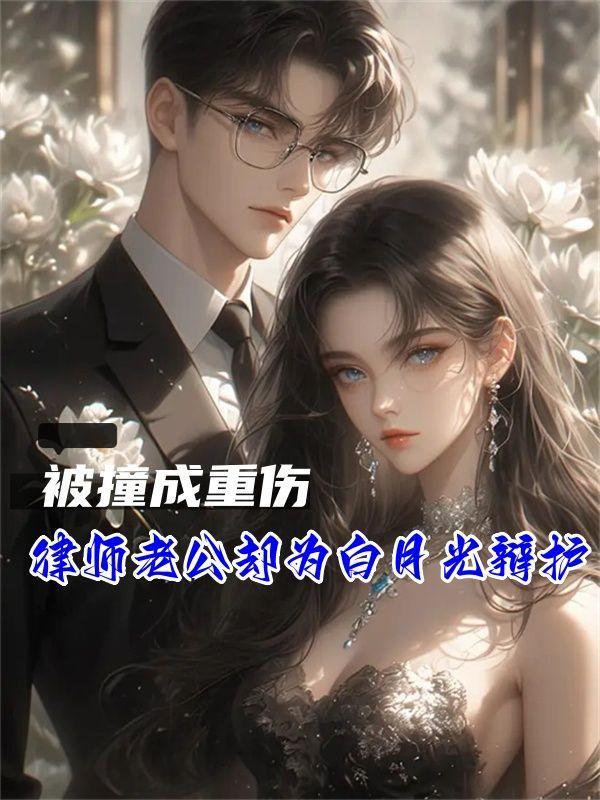 律师老公却为白月光辩护江运秦伊衣