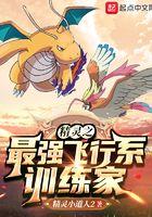 精灵之最强飞行系训练家笔趣阁
