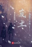 辐射4废土后宫怎么玩