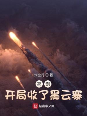 亮剑开局收了黑云寨免费阅读