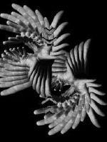 尸控疗法2在线完整版