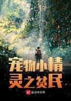 宠物小精灵之平民崛起