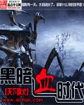 黑暗血时代TXT精校全本