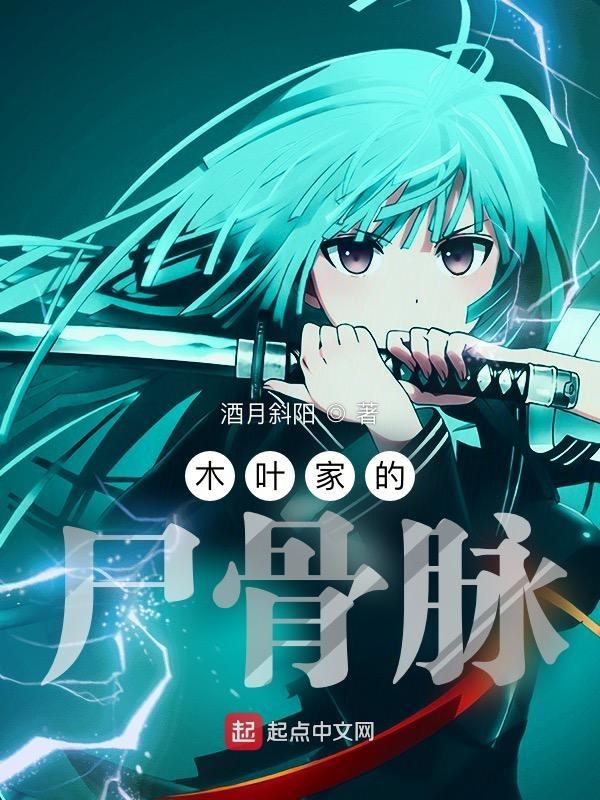 木叶村家族分布地图