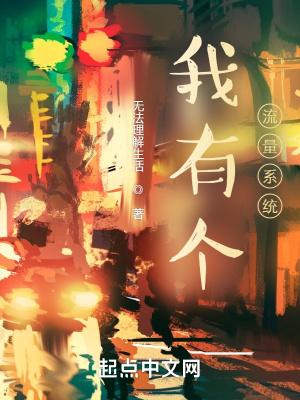 我有个流量系统 TXT