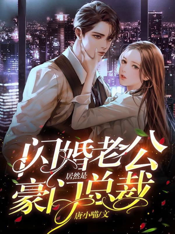 闪婚老公居然是豪门总裁南溪