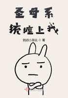 圣母系统又傲娇了