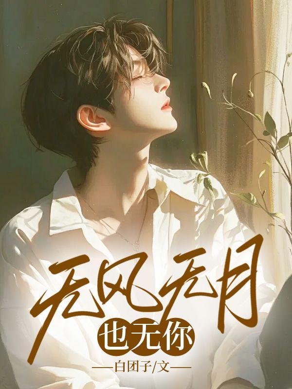 无风无月也无你什么意思?