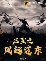 三国之风云起