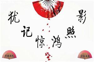 犹记惊鸿照影 风凝雪舞