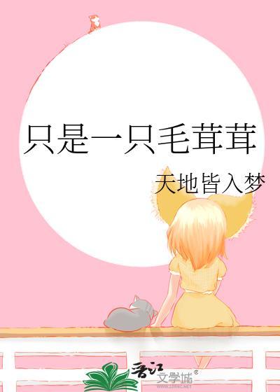 一只毛茸茸的小猫