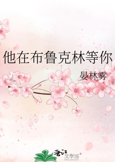 他在布鲁克林等你笔趣阁