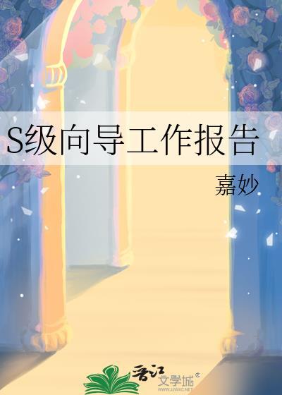 s级向导工作报告