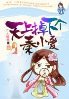 天上掉下一个小郎君免费阅读