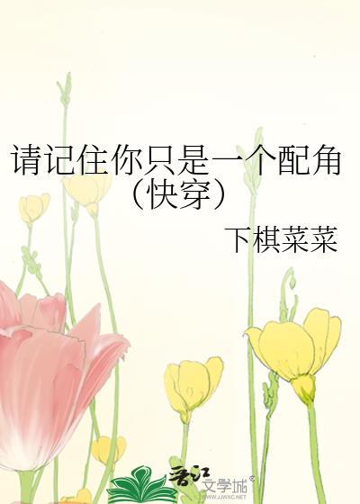 请记住你只是一个配角快穿