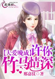 大爱晚婚全本免费阅读