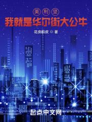 美利坚我就是华尔街大公牛 花皮的皮所写