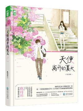 天使离开的十九岁第二部