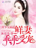 封少宠妻至上免费阅读