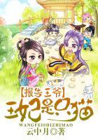 王妃是只猫第二季免费