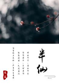 半仙免费阅读