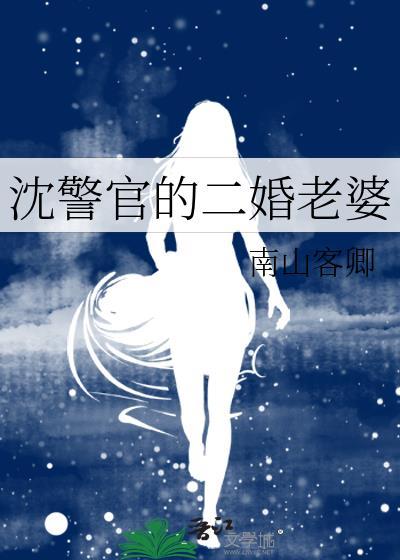 沈警官二婚老婆大结局