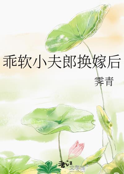 乖软小夫郎换嫁后TXT完结版