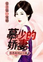 史上第一宠婚慕少的娇妻 北川云上锦