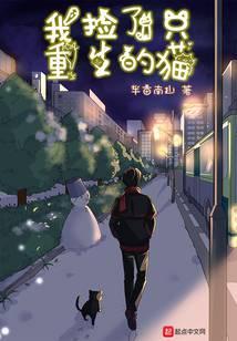 我捡了只重生的猫好看吗