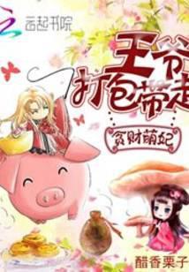 贪财王妃王爷的小金库归我了