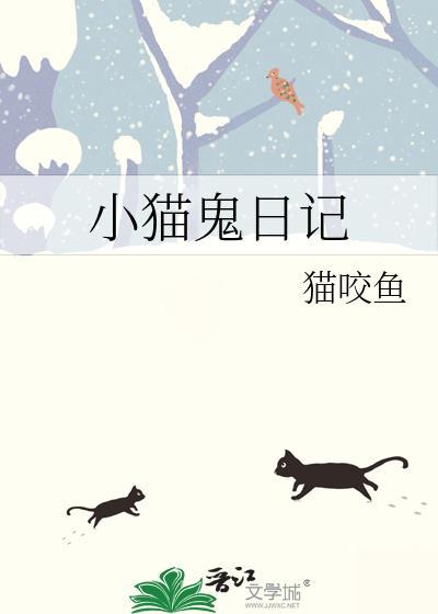 小猫咪曰记
