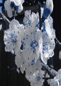 春秋航空董事长谈民航业