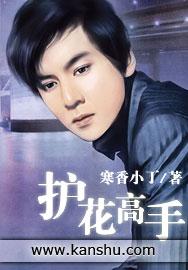 全能护花高手