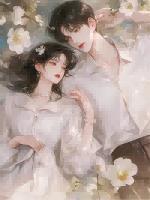 第99次离婚总裁甜宠