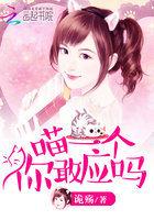 豪宠第一夫人全文免费阅读