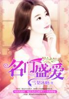 名门盛恋