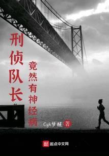 刑侦队长是什么