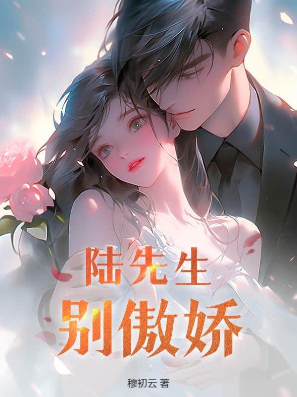 陆先生别追了免费