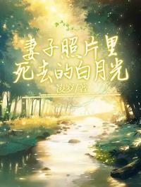 白月光照片发给妻子后续