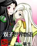 单机游戏双子物语