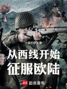 从西线开始征服欧陆 免费