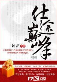 仕途巅峰全文免费阅读