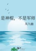 不是军师
