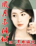 风月不倾城内容