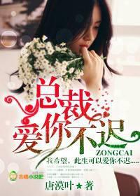 总裁爱你不迟全文阅读最新章节